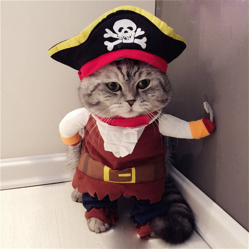 Teddy Pirate Pet Costume | Fun Cartoon Pirate Transformation for Dogs and Cats