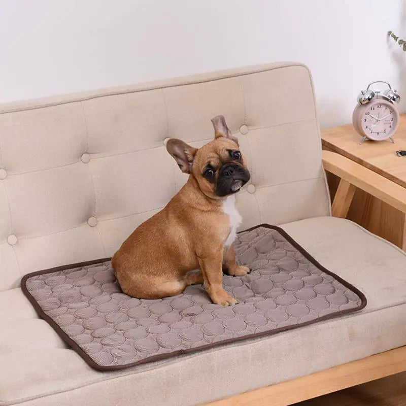 Multi-Use Cooling Mat for Dogs and Cats - Perfect for Hot Summer Days