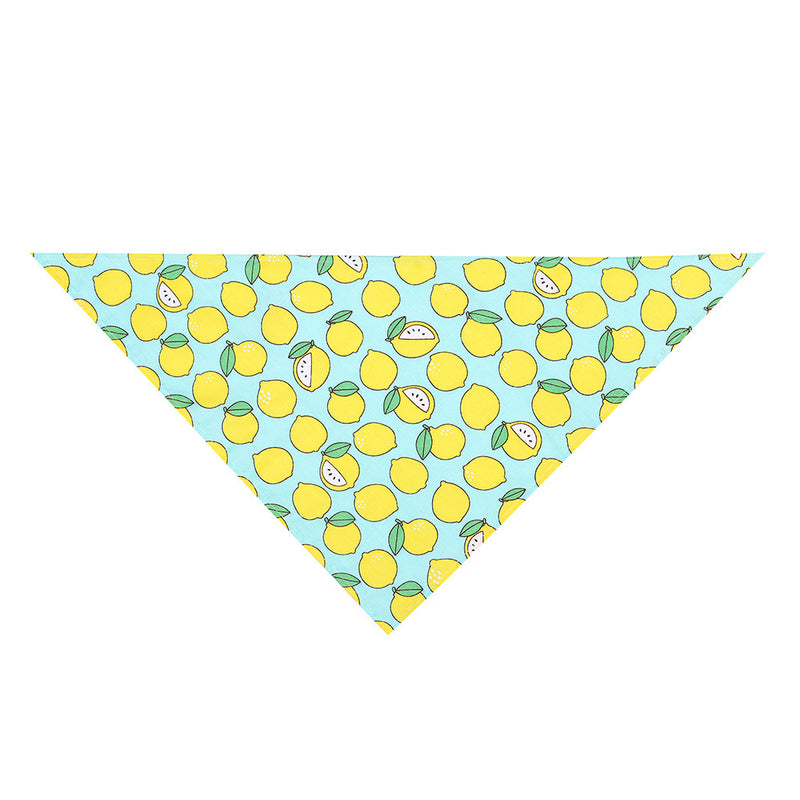 Cute Cartoon Dog Bandana | Stylish and Versatile for All Seasons