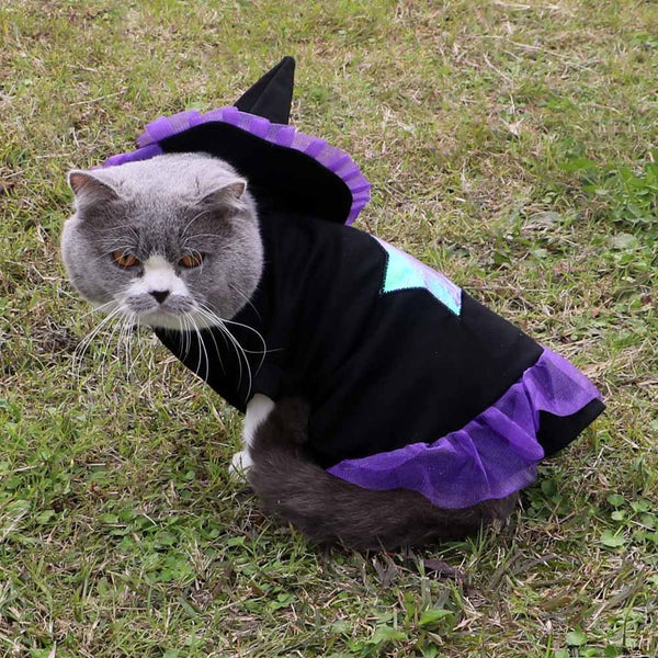 Christmas Wizard Pet Clothes | Festive Purple Outfit for Dogs and Cats