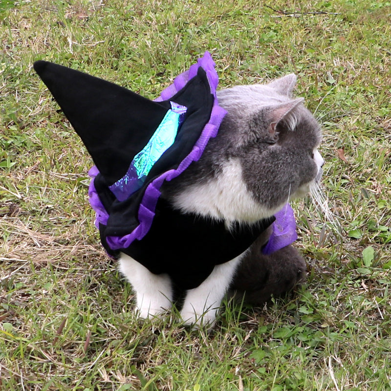 Christmas Wizard Pet Clothes | Festive Purple Outfit for Dogs and Cats