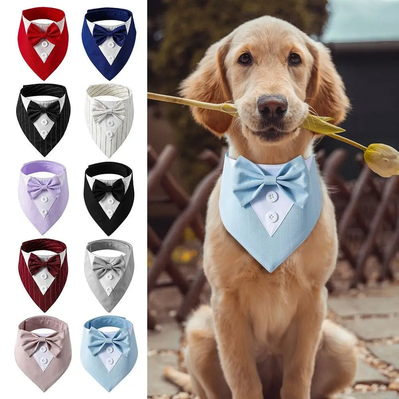 Fashionable Tuxedo Bow Tie for Pets | Elegant Formal Accessory