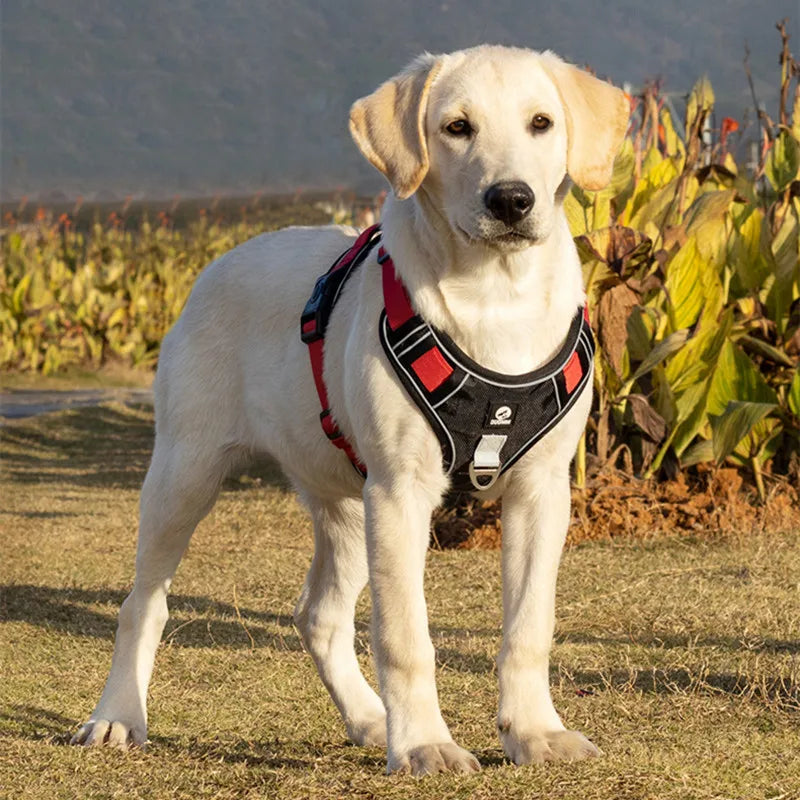 Adjustable No-Pull Dog Harness - Walking Chest Vest for Small, Medium, and Large Dogs