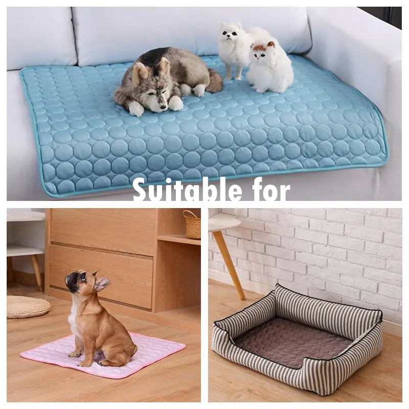 Multi-Use Cooling Mat for Dogs and Cats - Perfect for Hot Summer Days