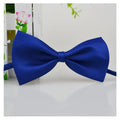 Elegant Cat and Dog Bow Tie | Stylish Pet Accessory for Cats, Puppies, and Small Dogs