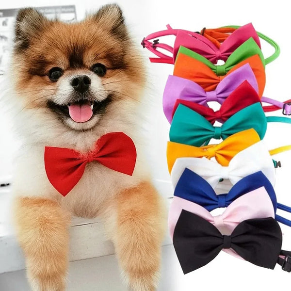 Elegant Cat and Dog Bow Tie | Stylish Pet Accessory for Cats, Puppies, and Small Dogs