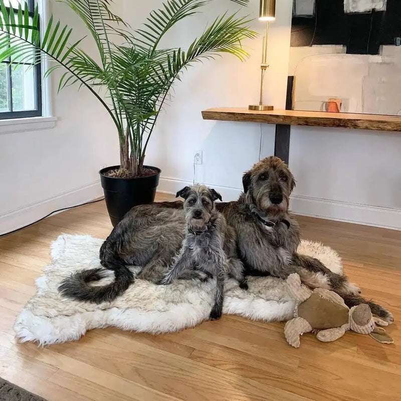 Faux Fur Dog Bed | Ultimate Comfort and Style for Your Pet