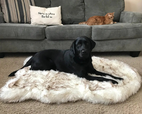 Faux Fur Dog Bed | Ultimate Comfort and Style for Your Pet