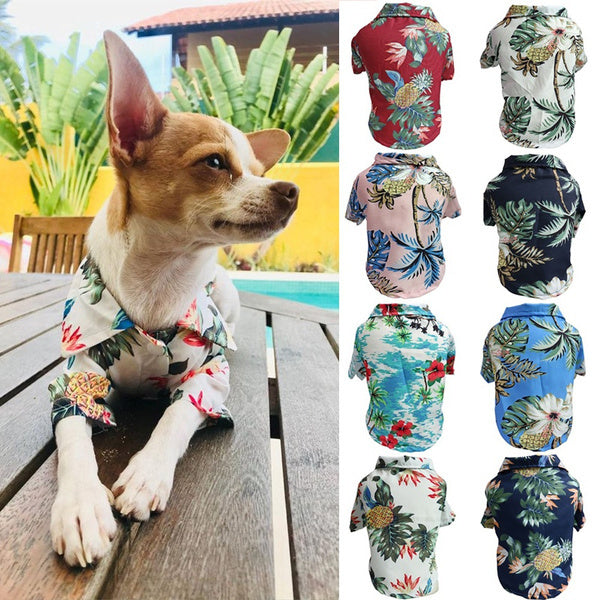 Lightweight Spring and Summer Dog Shirt - Corgi and Cat Blue Apparel