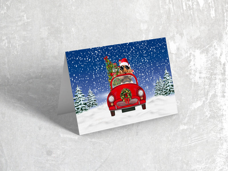 Cocker Spaniel Driving Christmas Cards | Let It Snow Holiday Greeting Cards