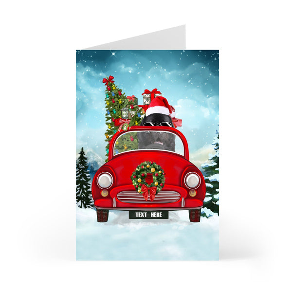 Newfoundland Driving Car Christmas Card - Festive Holiday Greeting