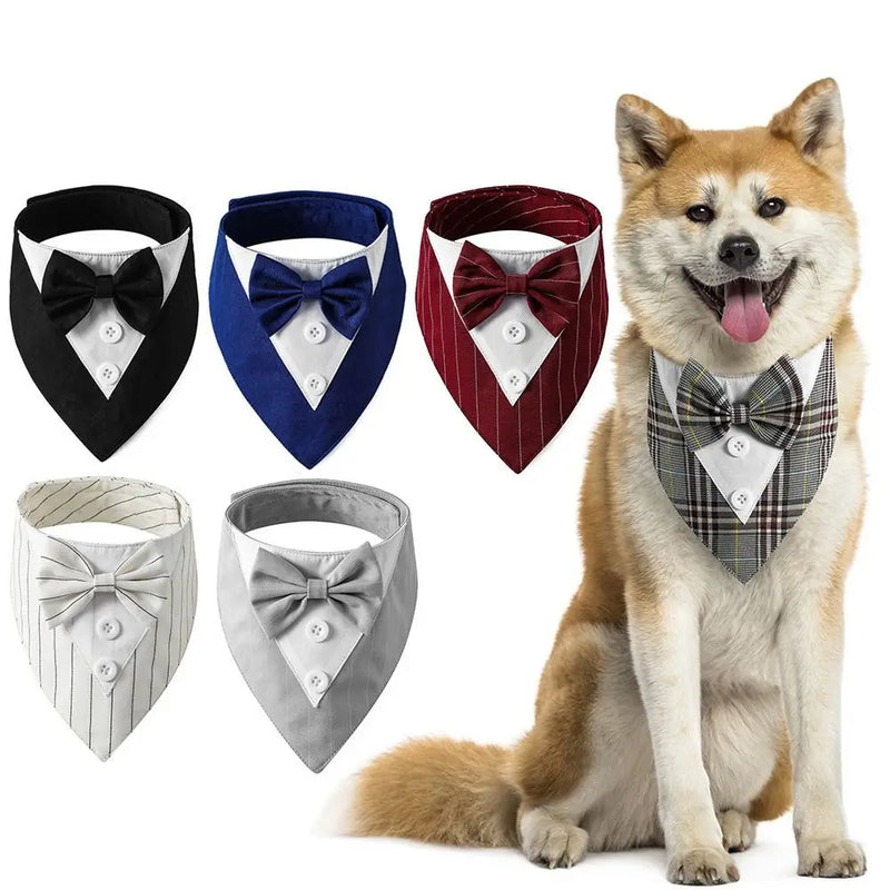 Fashionable Tuxedo Bow Tie for Pets | Elegant Formal Accessory