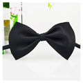 Elegant Cat and Dog Bow Tie | Stylish Pet Accessory for Cats, Puppies, and Small Dogs