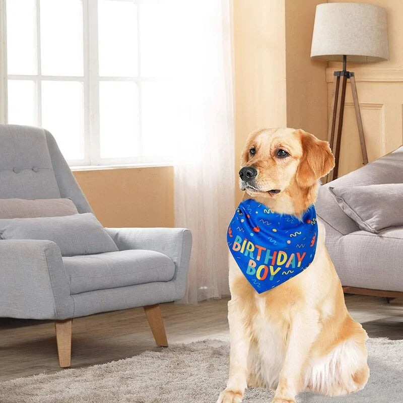 Large Pet Scarf Birthday Boy Birthday Girl Trendy & Comfortable Bandana for Dogs with Playful Designs