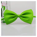 Elegant Cat and Dog Bow Tie | Stylish Pet Accessory for Cats, Puppies, and Small Dogs