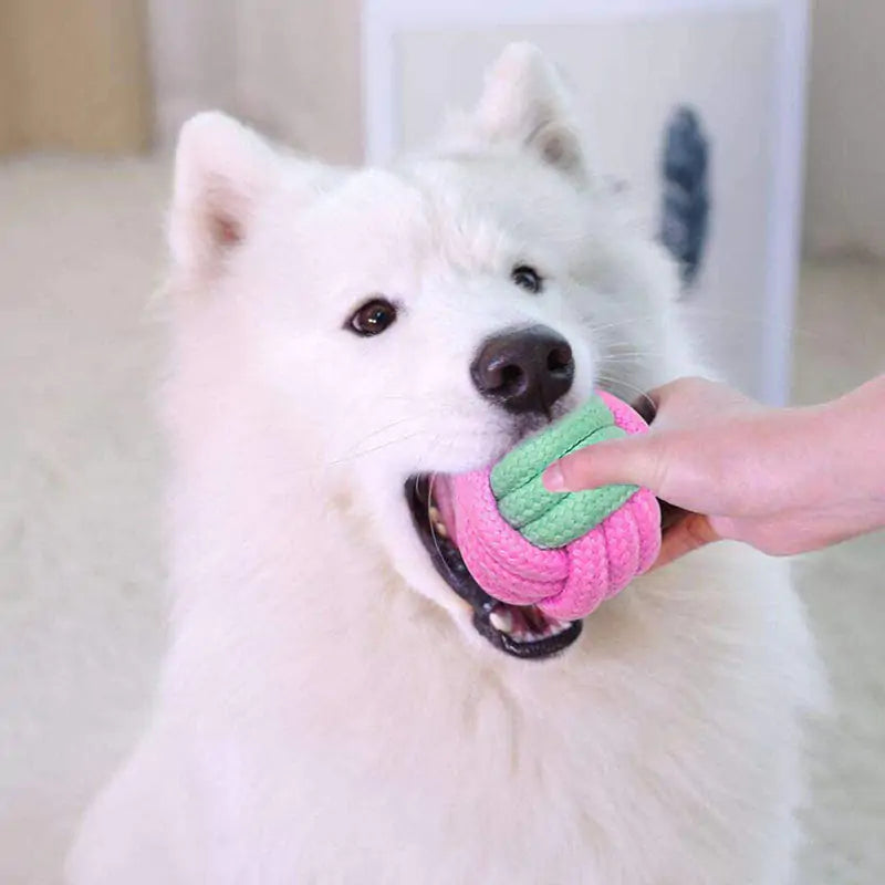 Durable Pet Dog Chew Toys | Cotton Rope Chew Toy for Training and Dental Health