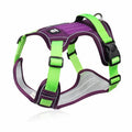 Adjustable No-Pull Dog Harness - Walking Chest Vest for Small, Medium, and Large Dogs