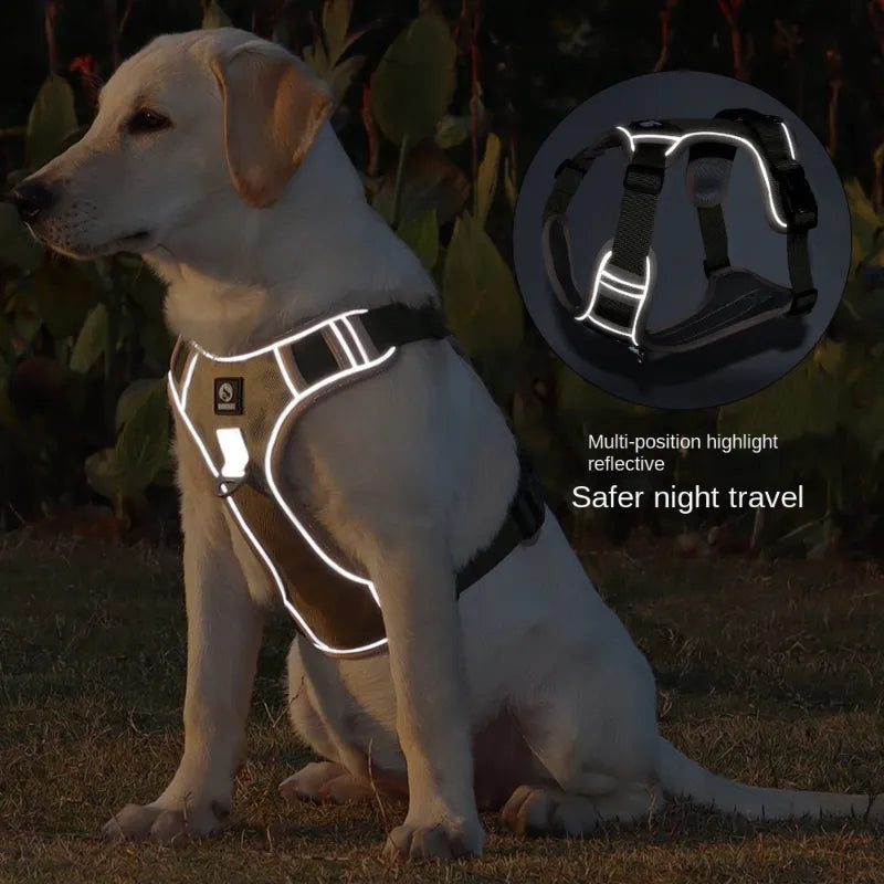 Adjustable No-Pull Dog Harness - Walking Chest Vest for Small, Medium, and Large Dogs